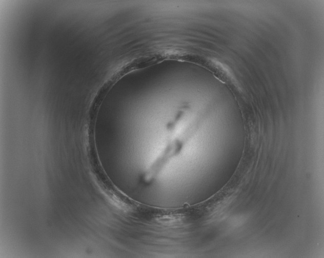 X0000074930447200609151943