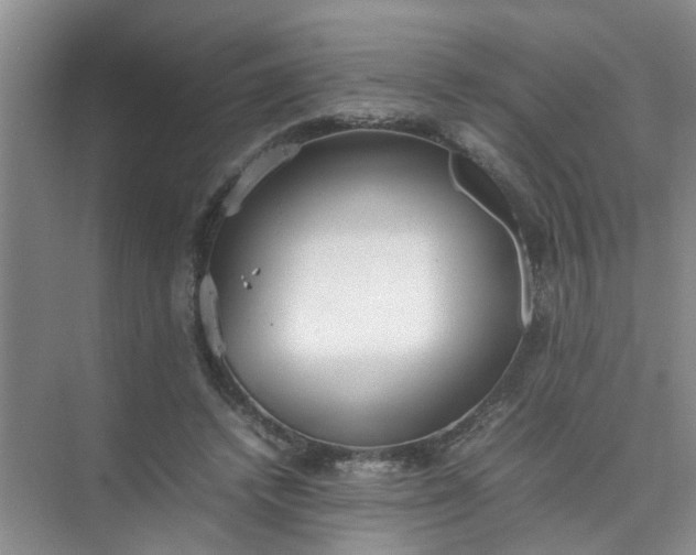 X0000074930448200609151943