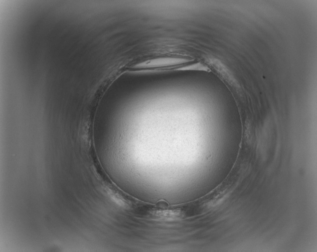 X0000074930449200609151943