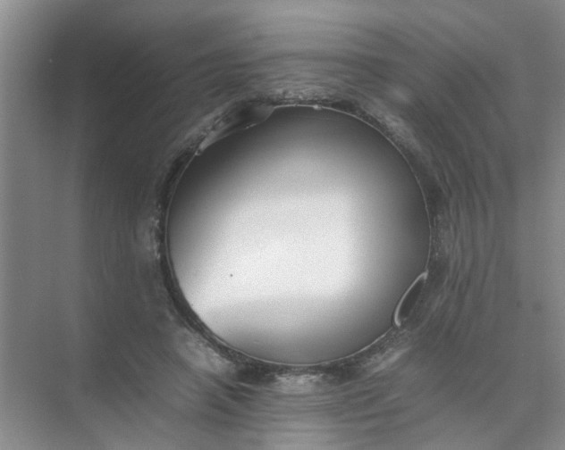 X0000074930450200609151943