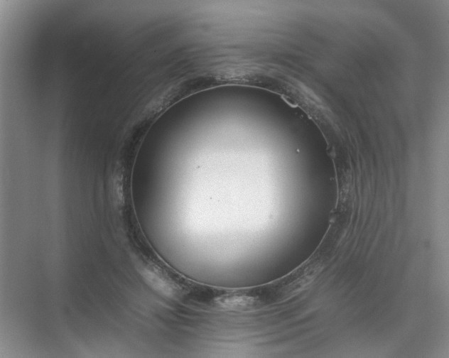 X0000074930452200609151943