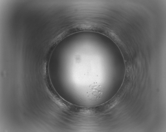 X0000074930454200609151943