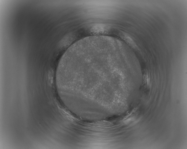 X0000074930458200609151943