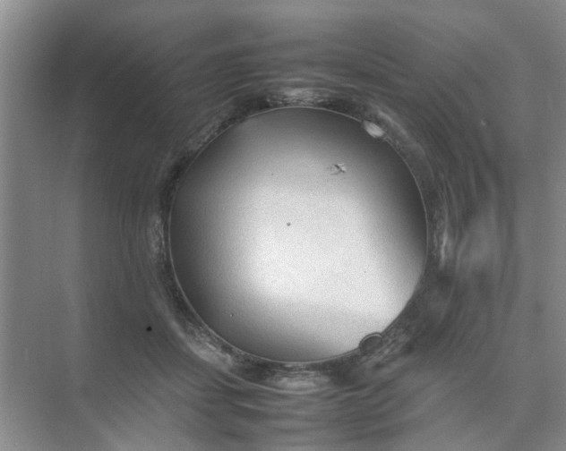 X0000074930459200609151943