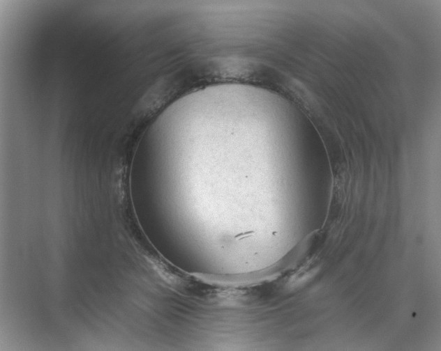 X0000074930462200609151943