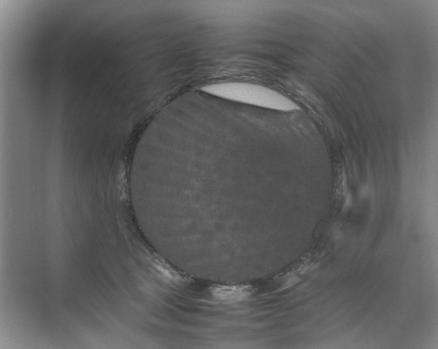 X0000074930465200609151943