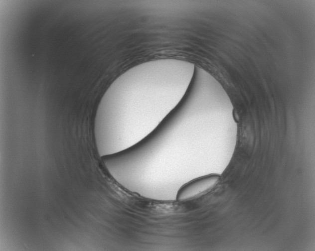 X0000074930473200609151943