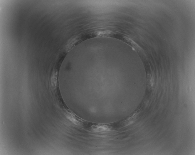 X0000074930475200609151943