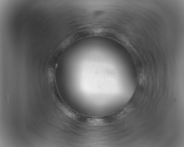 X0000074930476200609151943