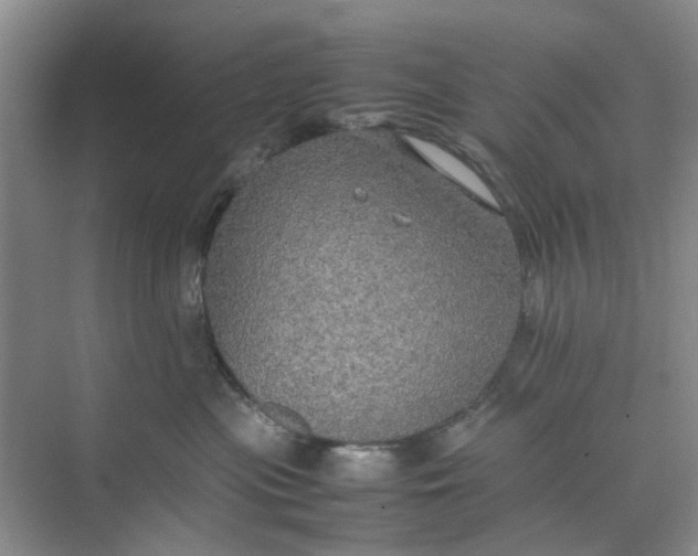 X0000074930477200609151943