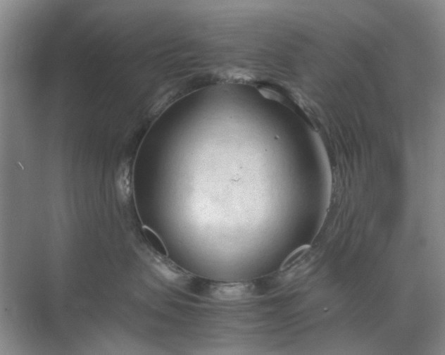 X0000074930479200609151943