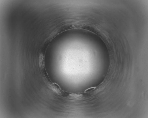 X0000074930480200609151943