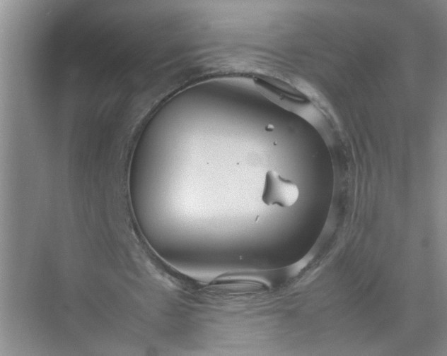 X0000074930481200609151943