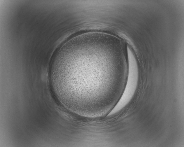 X0000074930483200609151943