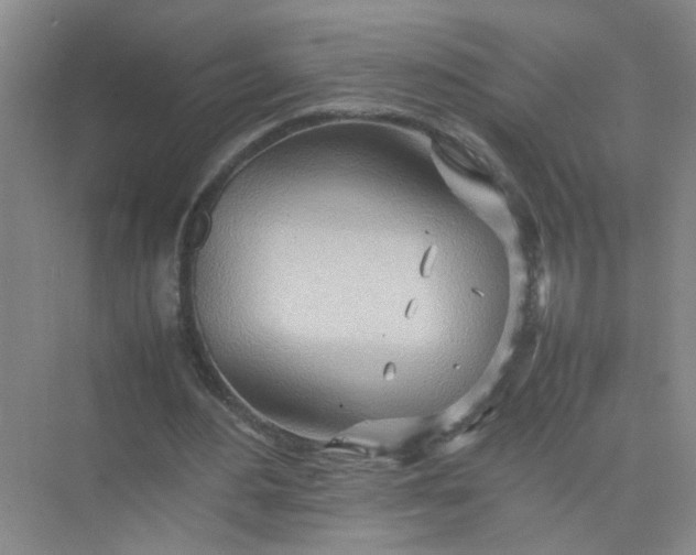 X0000074930484200609151943