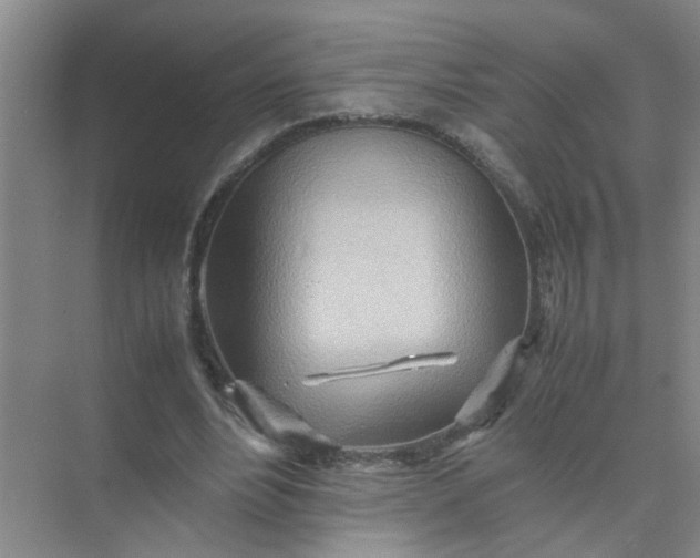 X0000074930488200609151942