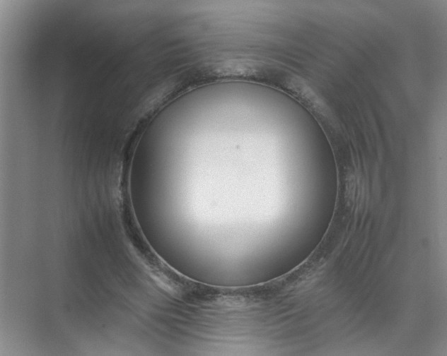 X0000074930490200609151942