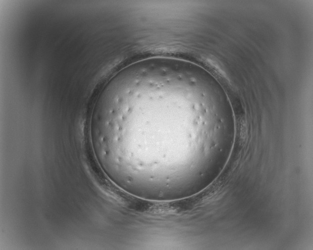 X0000074930491200609151942