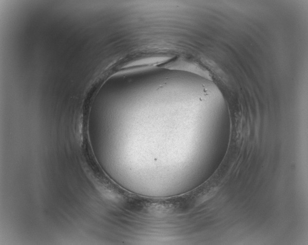 X0000074930494200609151942