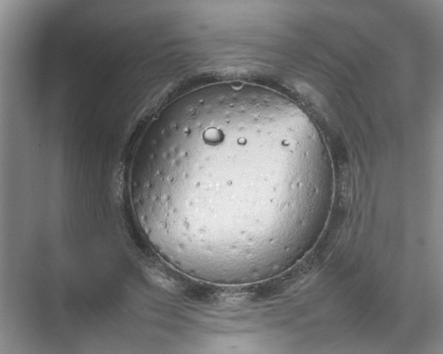 X0000074930495200609151942