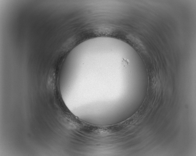 X0000074930498200609151942