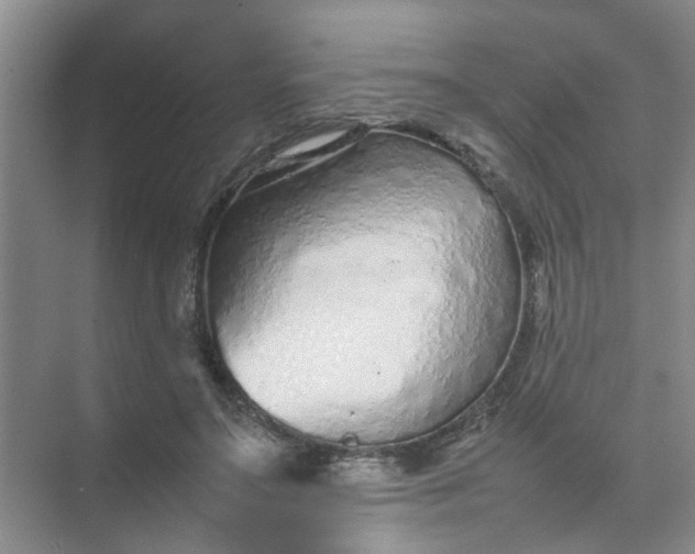 X0000074930499200609151942