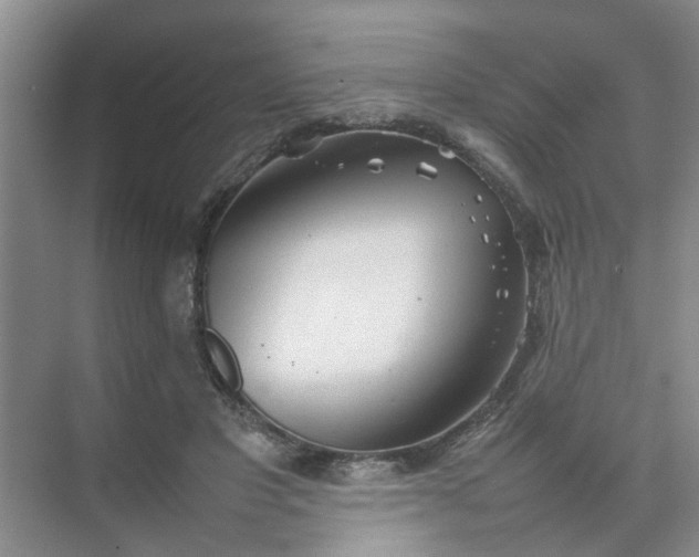 X0000074930501200609151942