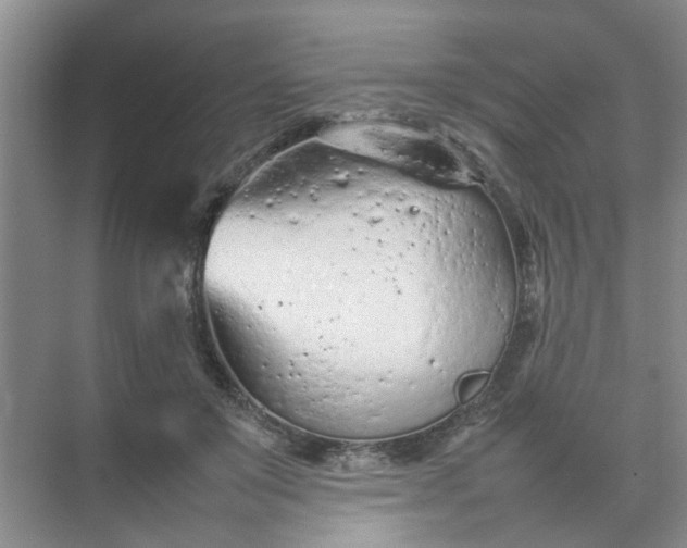 X0000074930503200609151942