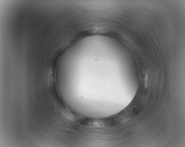 X0000074930506200609151942