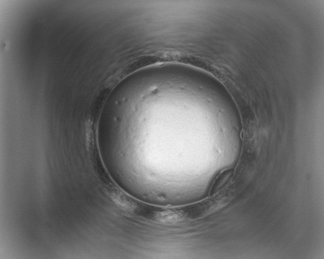 X0000074930511200609151942