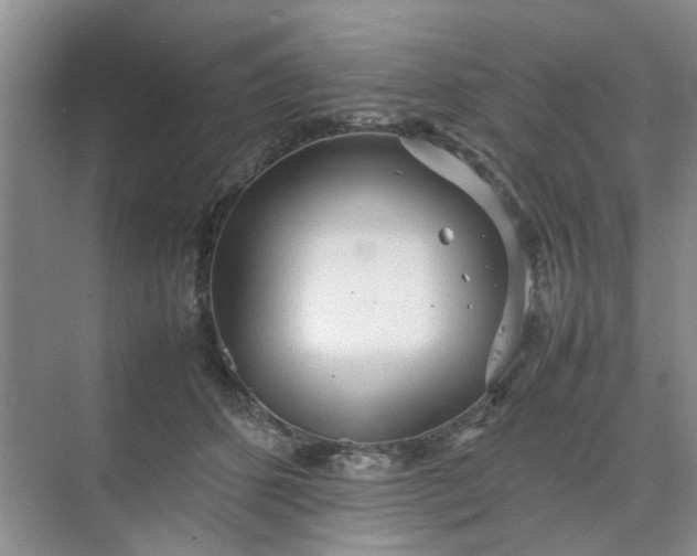 X0000074930512200609151942