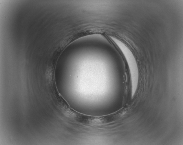 X0000074930513200609151942