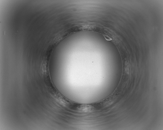 X0000074930514200609151942