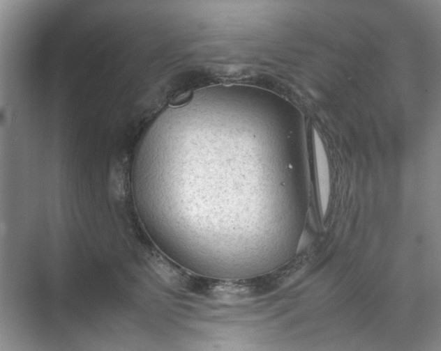 X0000074930515200609151942