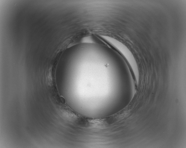 X0000074930516200609151942