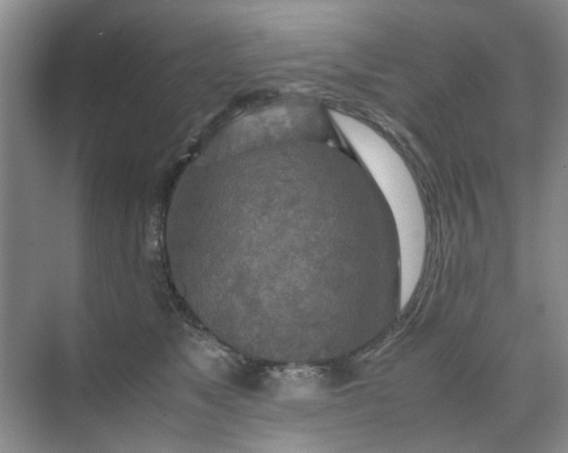 X0000074930517200609151942