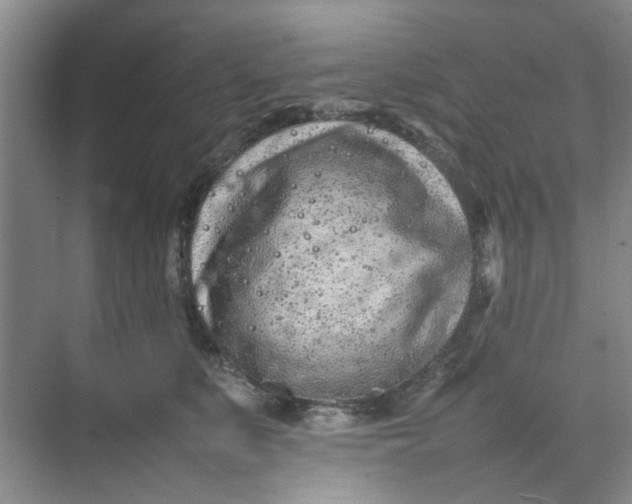 X0000074930519200609151942