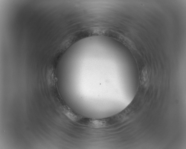 X0000074930522200609151942