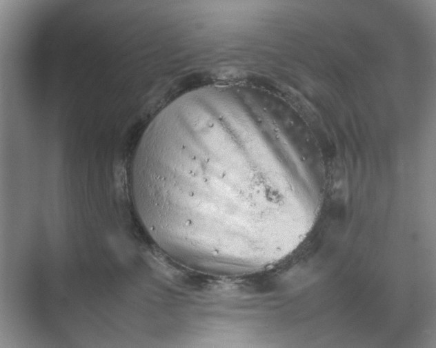 X0000074930523200609151942