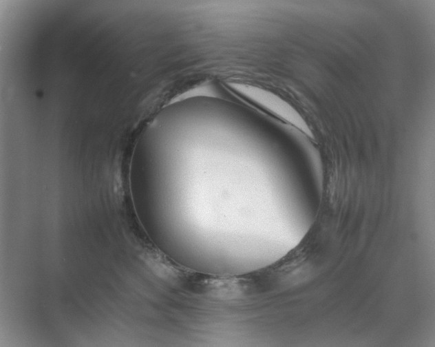 X0000074930524200609151942