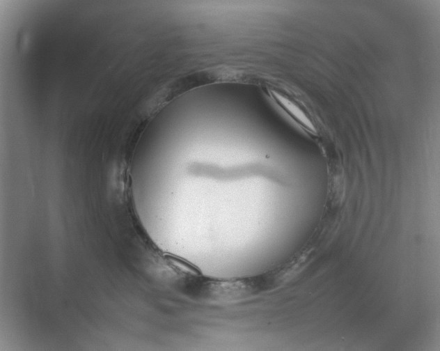 X0000074930525200609151942