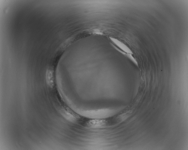 X0000074930526200609151942