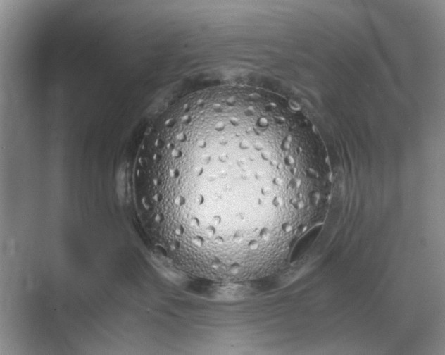 X0000074930527200609151942