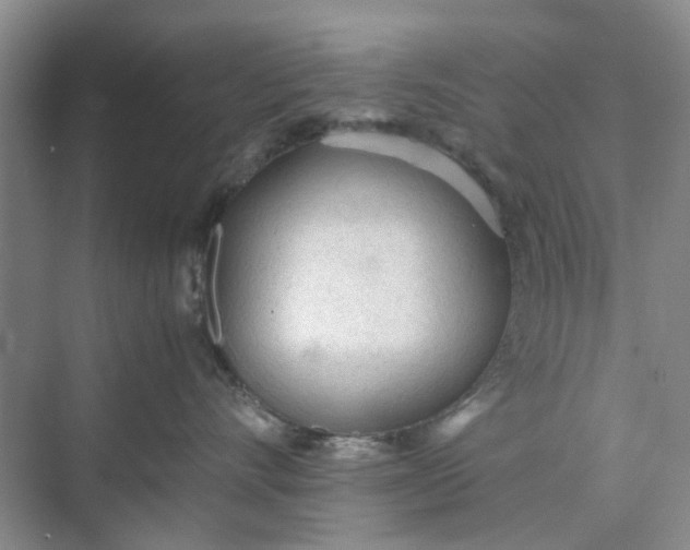 X0000074930528200609151942