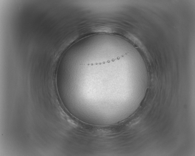 X0000074930529200609151941