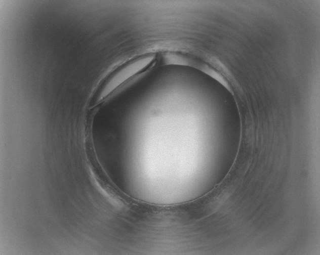 X0000074930530200609151941