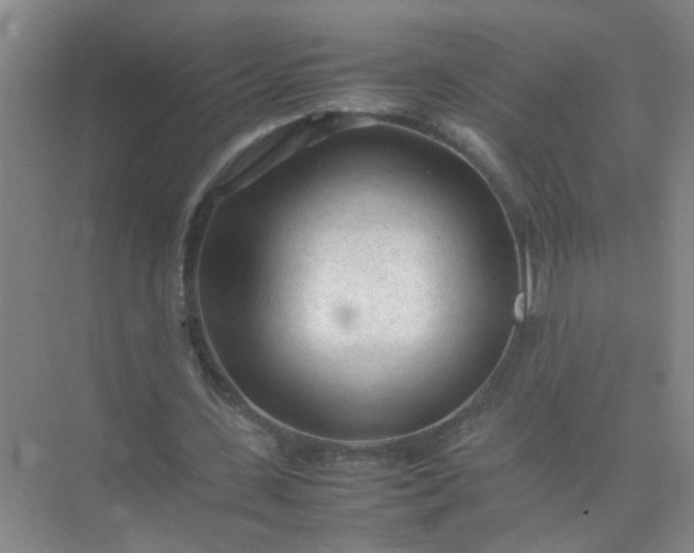 X0000074930531200609151941