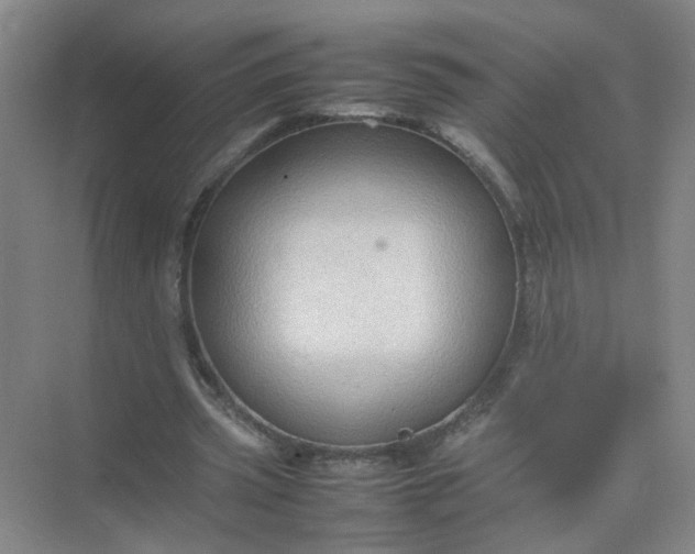 X0000074930533200609151941