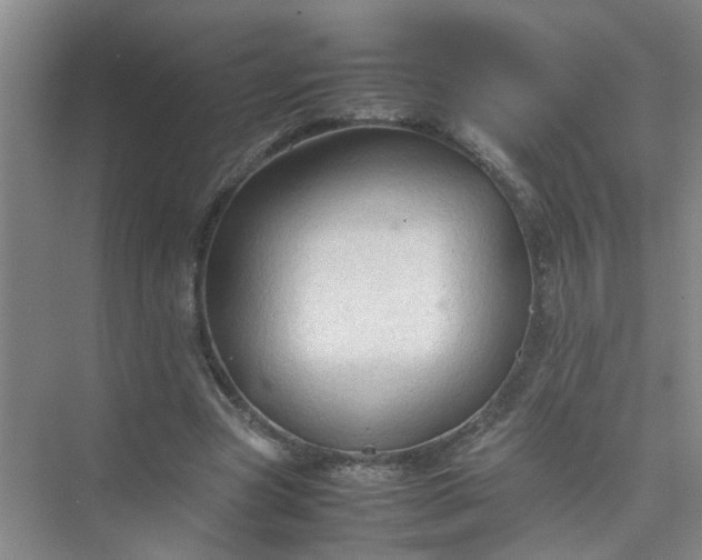 X0000074930537200609151941