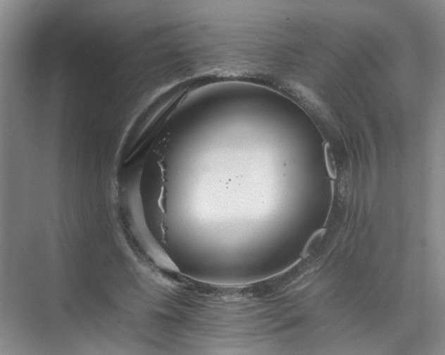 X0000074930540200609151941